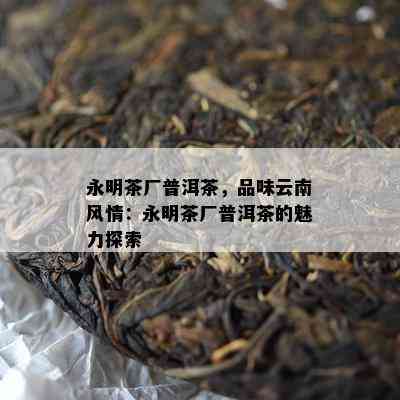 永明茶厂普洱茶，品味云南风情：永明茶厂普洱茶的魅力探索