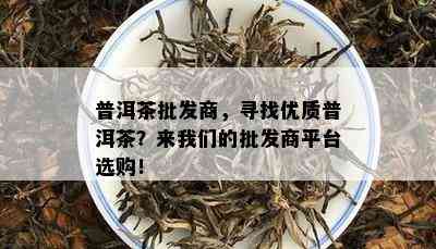 普洱茶批发商，寻找优质普洱茶？来咱们的批发商平台选购！