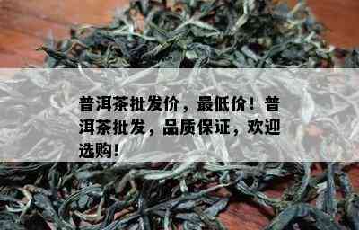 普洱茶批发价，更低价！普洱茶批发，品质保证，欢迎选购！