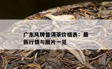 广东风牌普洱茶价格表：最新行情与图片一览