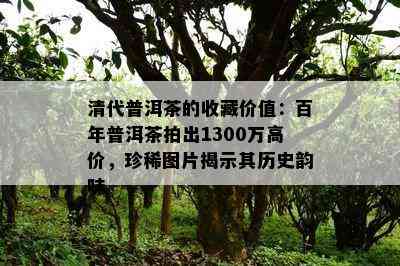 清代普洱茶的收藏价值：百年普洱茶拍出1300万高价，珍稀图片揭示其历史韵味