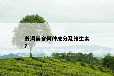 普洱茶含何种成分及维生素？