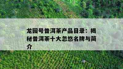 龙园号普洱茶产品目录：揭秘普洱茶十大忽悠名牌与简介