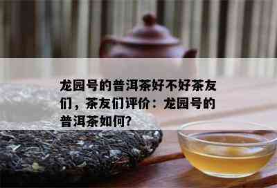 龙园号的普洱茶好不好茶友们，茶友们评价：龙园号的普洱茶怎样？