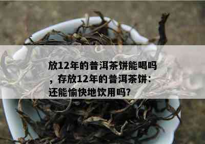 放12年的普洱茶饼能喝吗，存放12年的普洱茶饼：还能愉快地饮用吗？