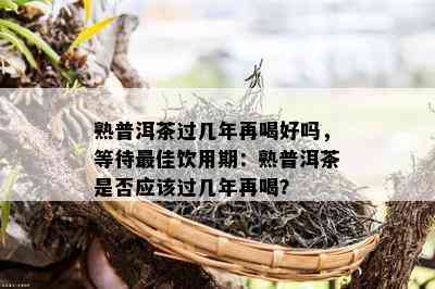 熟普洱茶过几年再喝好吗，等待更佳饮用期：熟普洱茶是不是应过几年再喝？