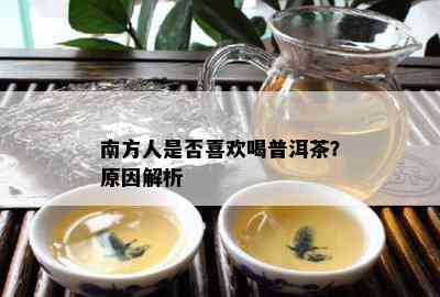 南方人是不是喜欢喝普洱茶？起因解析