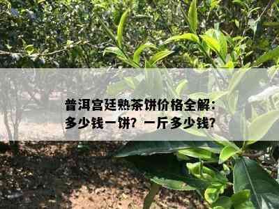 普洱宫廷熟茶饼价格全解：多少钱一饼？一斤多少钱？