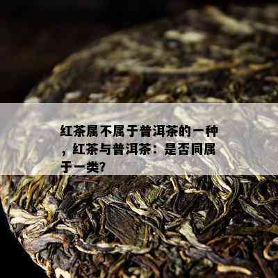 红茶属不属于普洱茶的一种，红茶与普洱茶：是否同属于一类？