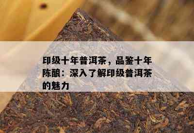 印级十年普洱茶，品鉴十年陈酿：深入熟悉印级普洱茶的魅力