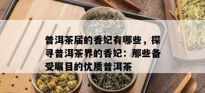 普洱茶届的香妃有哪些，探寻普洱茶界的香妃：那些备受瞩目的优质普洱茶