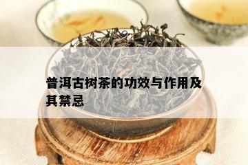 普洱古树茶的功效与作用及其禁忌