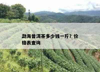 勐海普洱茶多少钱一斤？价格表查询