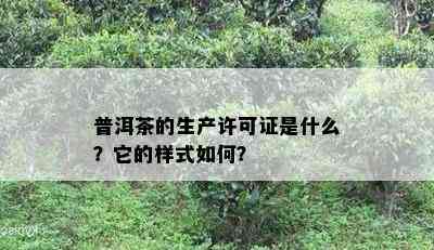 普洱茶的生产许可证是什么？它的样式怎样？