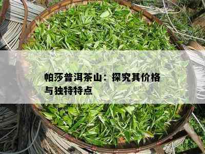 帕莎普洱茶山：探究其价格与特别特点