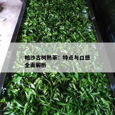 帕沙古树熟茶：特点与口感全面解析