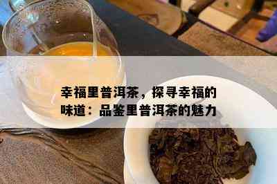 幸福里普洱茶，探寻幸福的味道：品鉴里普洱茶的魅力