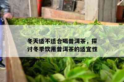 冬天适不适合喝普洱茶，探讨冬季饮用普洱茶的适宜性