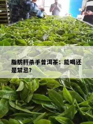 脂肪肝杀手普洱茶：能喝还是禁忌？