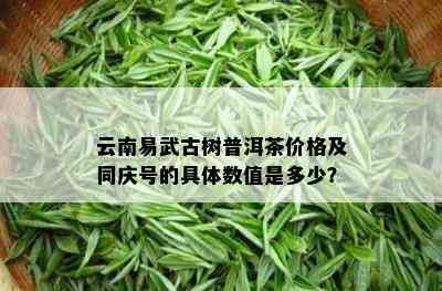 云南易武古树普洱茶价格及同庆号的具体数值是多少？