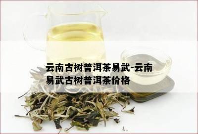 云南古树普洱茶易武-云南易武古树普洱茶价格