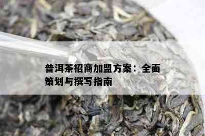 普洱茶招商加盟方案：全面策划与撰写指南