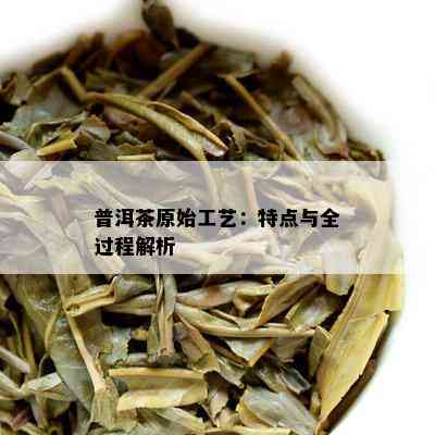 普洱茶原始工艺：特点与全过程解析