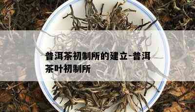 普洱茶初制所的建立-普洱茶叶初制所