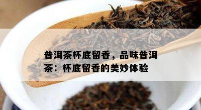 普洱茶杯底留香，品味普洱茶：杯底留香的美妙体验