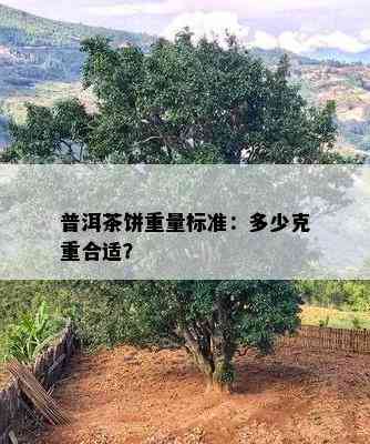 普洱茶饼重量标准：多少克重合适？