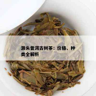 源头普洱古树茶：价格、种类全解析