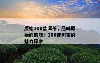 原始100普洱茶，品味原始的韵味：100普洱茶的魅力探索