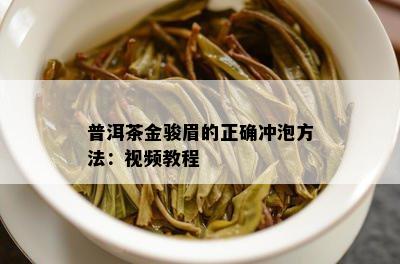 普洱茶金骏眉的正确冲泡方法：视频教程