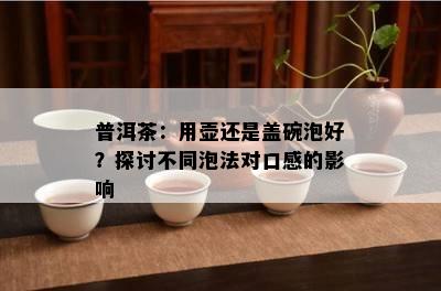 普洱茶：用壶还是盖碗泡好？探讨不同泡法对口感的影响