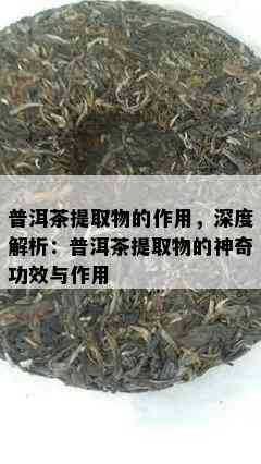 普洱茶提取物的作用，深度解析：普洱茶提取物的神奇功效与作用