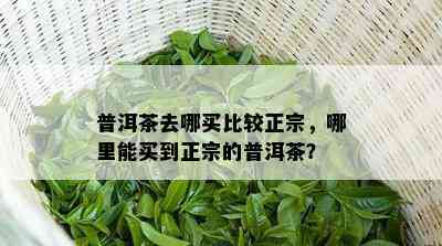 普洱茶去哪买比较正宗，哪里能买到正宗的普洱茶？