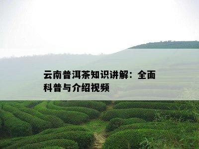 云南普洱茶知识讲解：全面科普与介绍视频