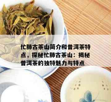 忙肺古茶山简介和普洱茶特点，探秘忙肺古茶山：揭秘普洱茶的特别魅力与特点