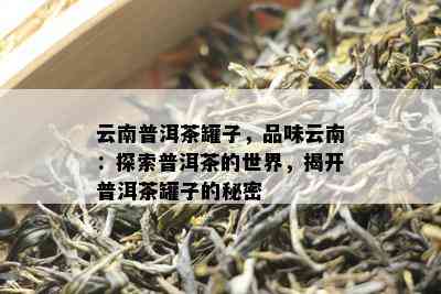 云南普洱茶罐子，品味云南：探索普洱茶的世界，揭开普洱茶罐子的秘密