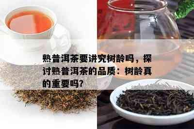 熟普洱茶要讲究树龄吗，探讨熟普洱茶的品质：树龄真的关键吗？