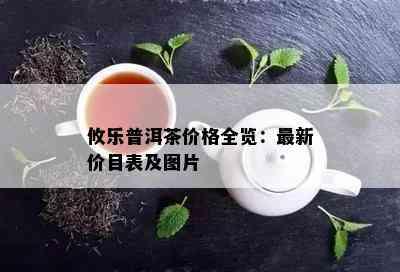 攸乐普洱茶价格全览：最新价目表及图片