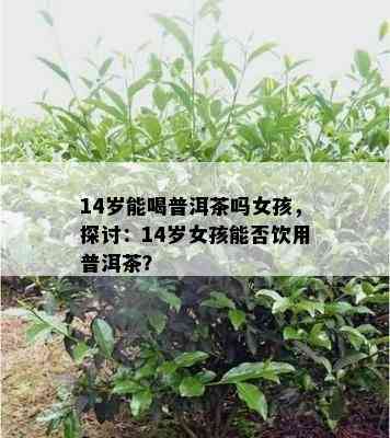 14岁能喝普洱茶吗女孩，探讨：14岁女孩能否饮用普洱茶？