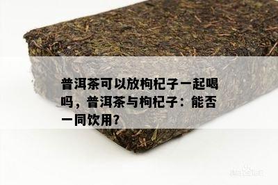 普洱茶可以放枸杞子一起喝吗，普洱茶与枸杞子：能否一同饮用？