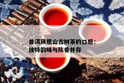 普洱凤凰山古树茶的口感：特别韵味与陈香并存