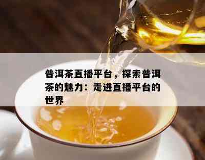 普洱茶直播平台，探索普洱茶的魅力：走进直播平台的世界