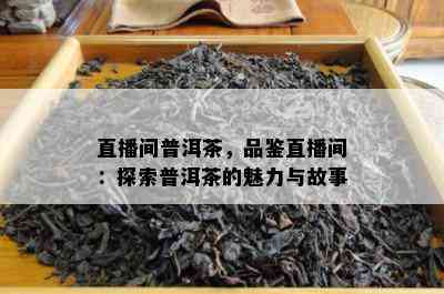 直播间普洱茶，品鉴直播间：探索普洱茶的魅力与故事