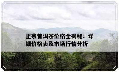 正宗普洱茶价格全揭秘：详细价格表及市场行情分析