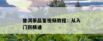 普洱茶品鉴视频教程：从入门到精通