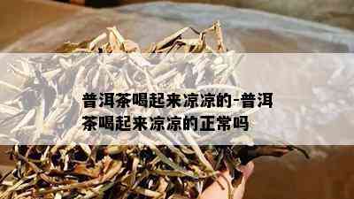 普洱茶喝起来凉凉的-普洱茶喝起来凉凉的正常吗