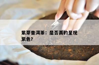 紫芽普洱茶：是否真的呈现紫色？